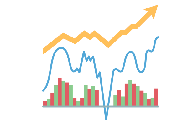 The Indian Share Market