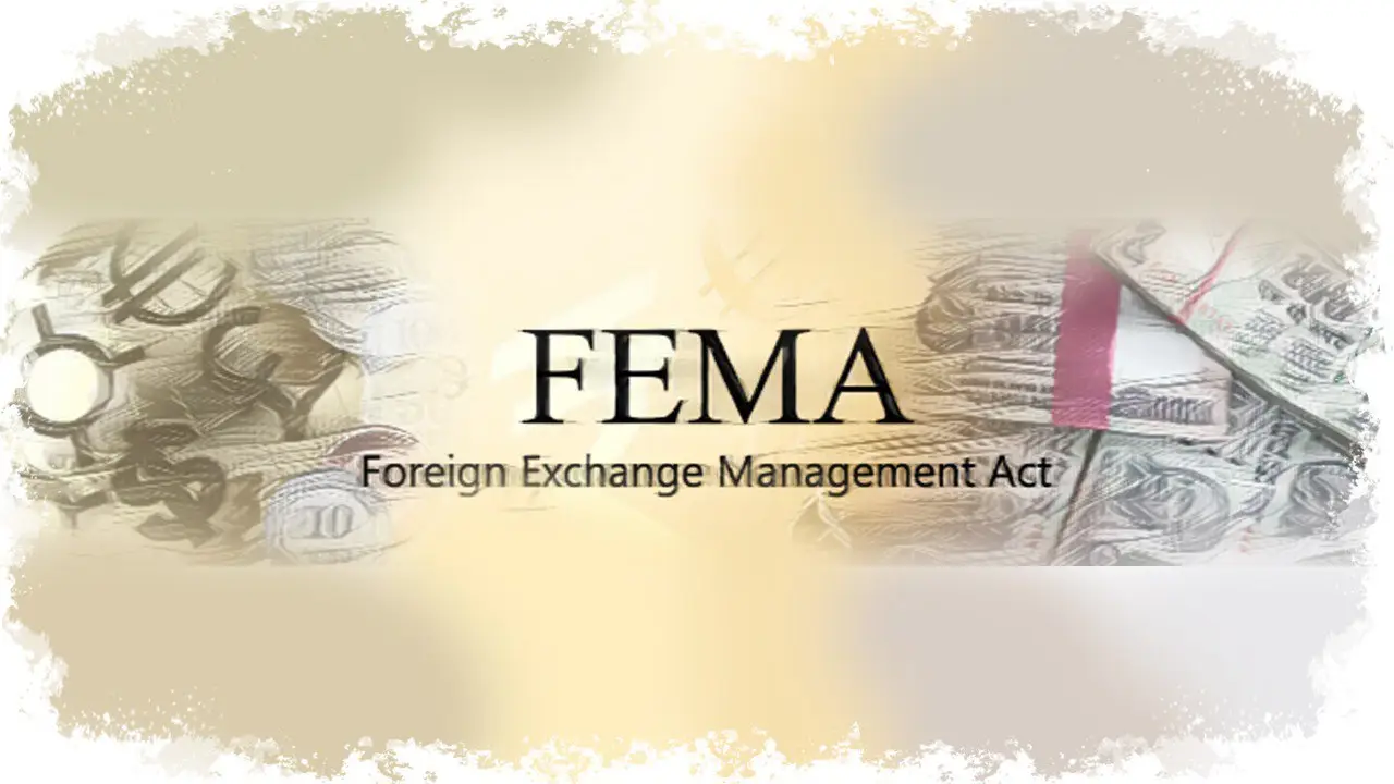 Foreign Exchange Management Act (FEMA): What You Need to Know in 2024