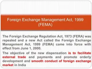 Foreign Exchange Management Act (FEMA): What You Need to Know in 2024